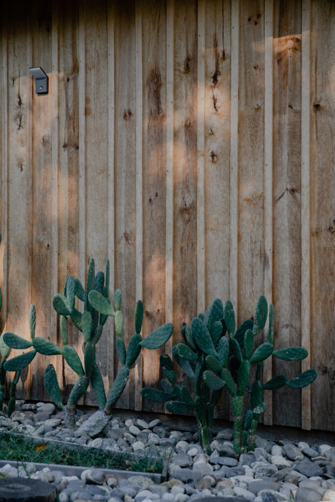 photographe architecture Seignosse, villa étang noir, photographe hossegor, photographe immobilier