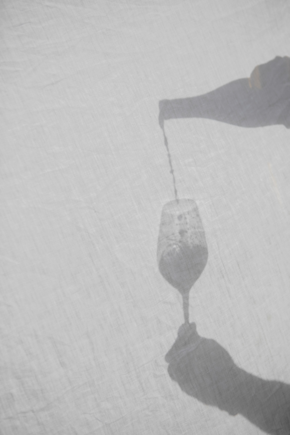 photographe culinaire hossegor, photographe food Hossegor, attabla restaurant du golf d'hossegor, branding ataula, photographe landes, photographe culinaire pays basque